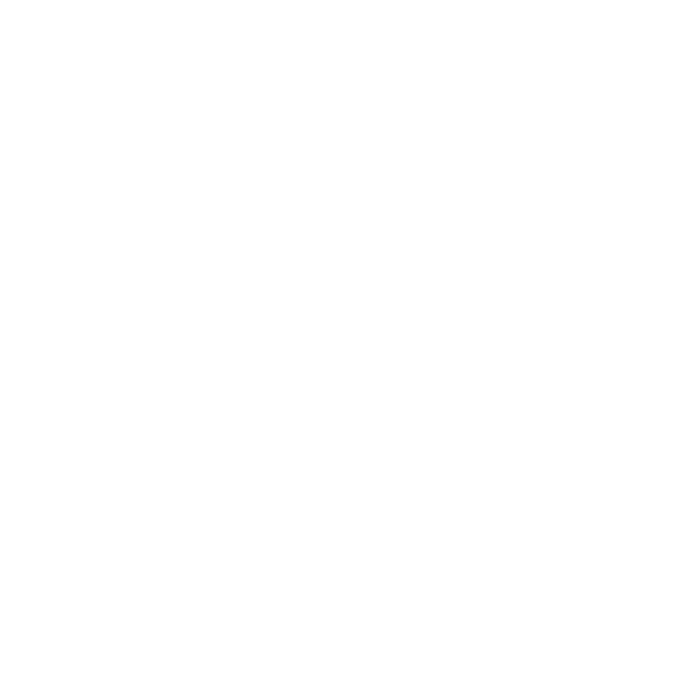 Feminine Ink abstract white logo